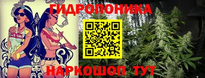 бошки Краснознаменск
