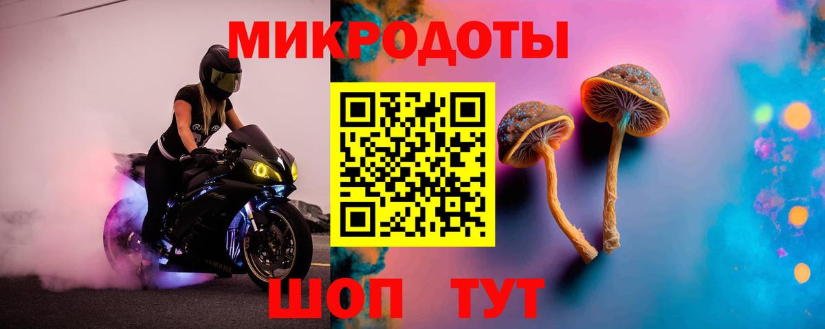 Псилоцибиновые грибы MAGIC MUSHROOMS Камень-на-Оби